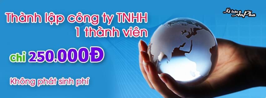  Thành lập công ty TNHH 1 thành viên